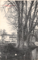 Delcampe - 55-VERDUN SUR MEUSE-N°T2219-A/0253 - Verdun