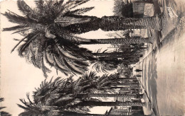 Delcampe - 83-HYERES-N°647-D/0397 - Hyeres