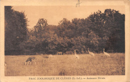 Delcampe - 76-CLERES-N°647-D/0183 - Clères