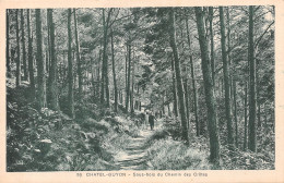 Delcampe - 63-CHATEL GUYON-N°T2221-B/0261 - Châtel-Guyon