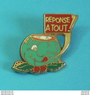 Delcampe - 1 PIN'S //   ** REPONSE A TOUT ! ** . (Ballard 77 Tirage Limité Doré à L'OR Fin) - Medias