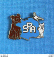 Delcampe - 1 PIN'S //  ** SPA / SOCIÉTÉ PROTECTRICE DES ANIMAUX ** - Animales