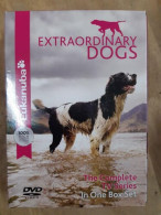 Delcampe - Extraordinary Dogs (The Complete TV Series) In One Box Set - Sonstige & Ohne Zuordnung