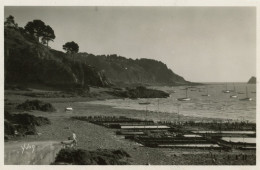 Delcampe - CANCALE - Parc Aux Huîtres - CPSM Petit Format - Cancale
