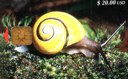 Delcampe - CUBA - CHIP CARD - SNAIL - Cuba