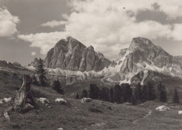Delcampe - CARTOLINA  GRUPPO DELLE TOFANE M. 3241,BELLUNO,VENETO-DA FORMIN-MONTAGNA,VACANZA,NEVE,SCIARE,RIFUGIO,VIAGGIATA 1956 - Belluno