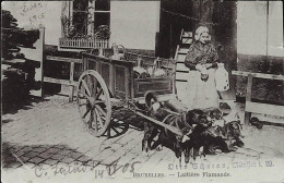 Delcampe - BRUXELLES --LAITIERE FLAMANDE - Straßenhandel Und Kleingewerbe
