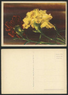 Delcampe - Red And Yellow Carnation Flowers Italy 1941 Old Colour Larger Italian Postcard - Blumen