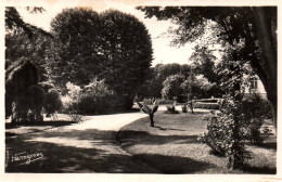 Delcampe - (RECTO / VERSO) EPERNAY - N° 5 - UNE ALLEE DU JARDIN DE L' HOTEL DE VILLE - FORMAT CPA - Epernay