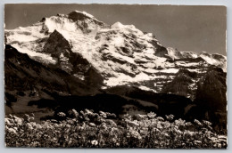 Delcampe - Wengen Jungfrau Carte Postale Postcard - Wengen