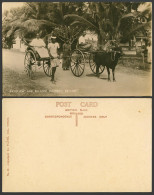 Delcampe - Ceylon Old Real Photo Postcard Rickshaw And Bullock Hackery Cart Coolie & Driver - Sri Lanka (Ceylon)