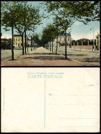 Delcampe - Bulgaria Old Colour Postcard Varna BAPHA, Tree-Lined Avenue Street Scene, Trees - Bulgarien
