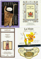 Delcampe - ITALIA ITALY - 15 Etichette Vino Bianco Di Toscana  Anno 1980-90-2000 - Vino Bianco