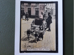 Delcampe - Carte Photo SUSINI  (pub Cigarettes) ATTELAGES DE CHIENS - Autres & Non Classés