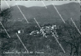 Delcampe - Be530 Cartolina Castelnuovo Nigra Sale Panorama Provincia Di Torino - Sonstige & Ohne Zuordnung