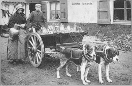 Delcampe - WESTREM - (Près GENT) - ATTELAGE De CHIENS  Et LAITIERE FLAMANDE - Gent