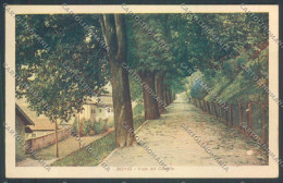 Delcampe - Vicenza Schio Cartolina ZB7957 - Vicenza