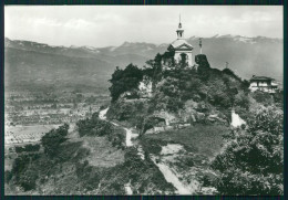 Delcampe - Torino Cavour Foto FG Cartolina MZ2295 - Sonstige & Ohne Zuordnung