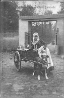 Delcampe - BRUXELLES  - ATTELAGE De CHIENS  Et LAITIERE FLAMANDE - Straßenhandel Und Kleingewerbe