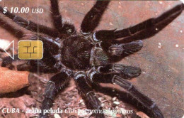 Delcampe - CUBA - CHIP CARD - SPIDER - ARANA PELUDA - Cuba