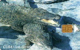Delcampe - CUBA - CHIP CARD - ANIMAL - CROCODILE - Cuba