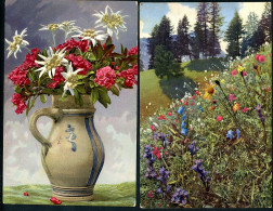 Delcampe - AK Blumen, 2 Stück, Beide Bahnpost Pontafel-Villach, 1912,Arnica, Edelweiß, Alpenrose - Blumen