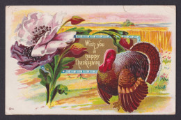 Delcampe - UNITED STATES, Postcard, Thanksgiving Greetings, The Turkey - Thanksgiving