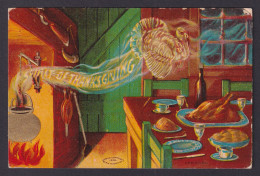 Delcampe - UNITED STATES, Postcard, Thanksgiving Greetings, The Turkey Spirit - Thanksgiving