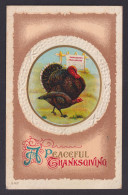 Delcampe - UNITED STATES, Postcard, Thanksgiving Greetings, The Turkey - Thanksgiving