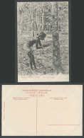 Delcampe - Ceylon Old Postcard A Native Tapper Tapping Rubber Tree Using Half Spiral System - Sri Lanka (Ceylon)