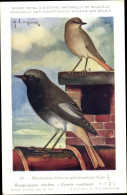 Delcampe - Artiste CPA Dupond, Hub., Phoenicurus Ochrurus Gibraltariensis, Rotschwanz - Sonstige & Ohne Zuordnung