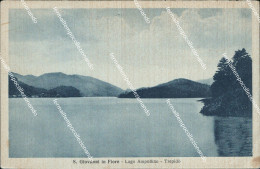 Delcampe - Bf54 Cartolina S.giovanni In Fiore Lago Ampollino Trepido' Provincia Di Cosenza - Cosenza