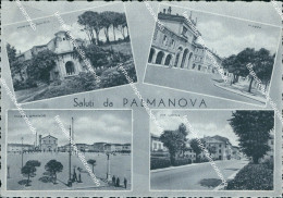 Delcampe - Bf98 Cartolina Saluti Da Palmanova Provincia Di Udine - Udine