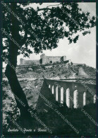 Delcampe - Perugia Spoleto FG Foto Cartolina KB4868 - Perugia