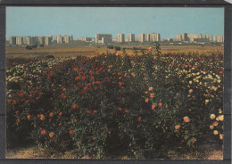 Delcampe - 69 - VENISSIEUX - Vue Générale Sur Les Minguettes - Vénissieux