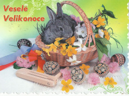 Delcampe - Picture Postcard Czech Republic Easter - Ostern