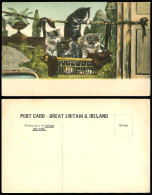 Delcampe - Cats Kittens In A Hanging Basket Cat Kitten Old Colour Postcard Pets Pet Animals - Katten