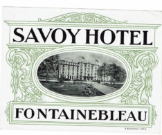 Delcampe - FRANCE -FONTAINEBLEAU -SAVOY HOTEL -15/12cm - Etiquettes D'hotels