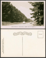 Delcampe - South Australia Old Real Photo Postcard Pinus Radiata Forestry Nr Mt Gambier CAR - Autres & Non Classés