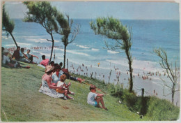 Delcampe - ISRAEL NATHANYA NETANYA PROMENADE GARDENS PARK PETIT PARIS CARTE POSTALE POSTCARD ANSICHTSKARTE CARTOLINA POSTKARTE CP - Israel