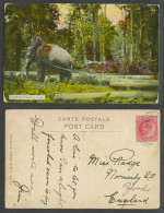 Delcampe - Burma India KE7 1a 1911 Old Postcard Elephant Hauling Logs, Native Rider Forest - Myanmar (Burma)