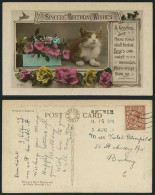 Delcampe - Cat Kitten & Flowers, Birthday Wishes 1922 Old Postcard - Katten