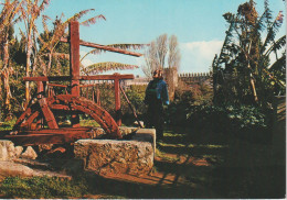Delcampe - (MAR19) RABAT. LA NORIA. JARDIN DES OUDAYAS - Rabat