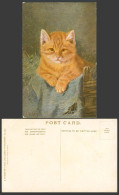 Delcampe - Stacks Artist Signed, Orange Pussy Cat Kitten, Pet Animal Old Art Drawn Postcard - Katten