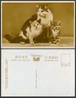 Delcampe - Cats Kittens A Happy Family Cat Kitten Pet Old Postcard Real Photo Animal Series - Katten