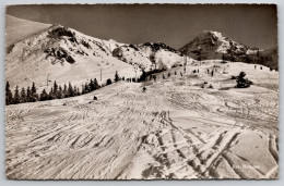 Delcampe - Bei Wengen Carte Postale Postcard - Wengen