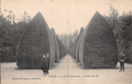 Delcampe - 85-LUCON-N°5136-A/0095 - Lucon