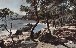 Delcampe - 83-BANDOL-N°5136-E/0157 - Bandol