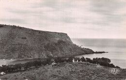 Delcampe - 66-CERBERE-N°5136-E/0107 - Cerbere