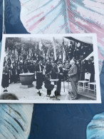 Delcampe - Petain Photo 9x6,5 Cm - Other & Unclassified